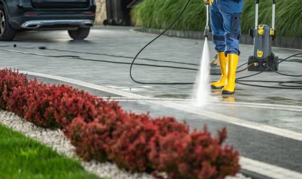 Best Roof Pressure Washing  in Vaville, CA